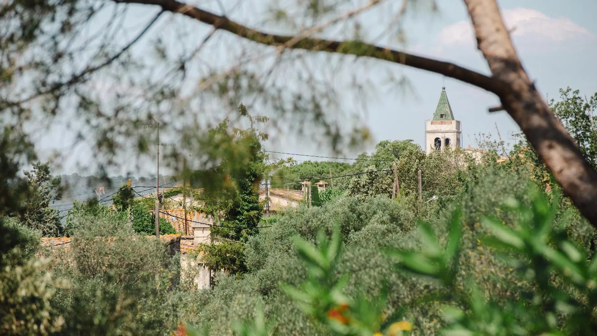 Ca La Gracieta Bed & Breakfast Santa Cristina d'Aro